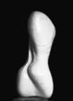 Immagine 35.jpg (11kb)